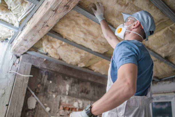Best Cellulose Insulation in North Hartsville, SC